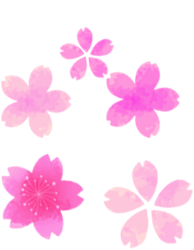 さくら