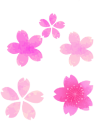 桜