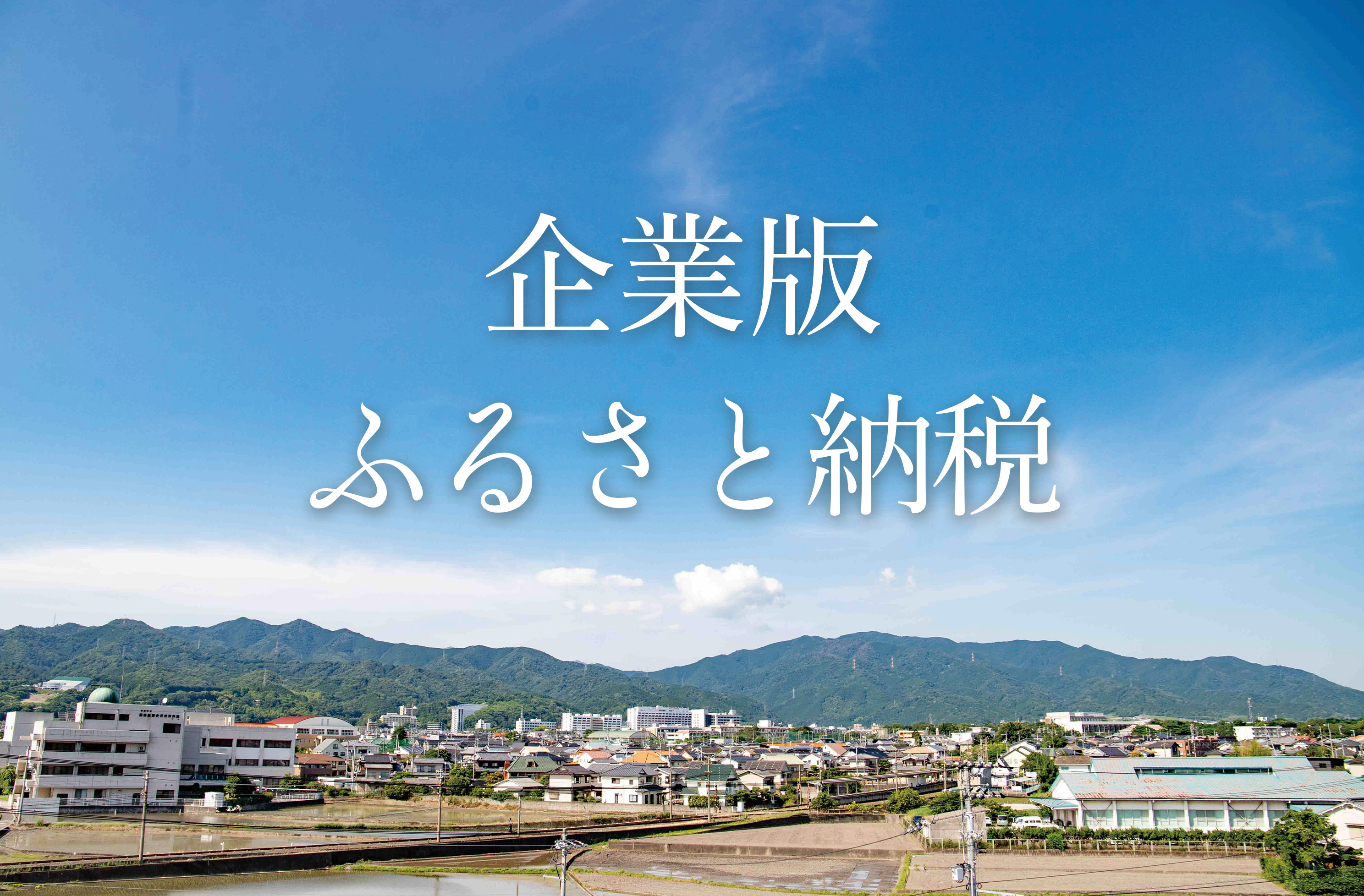 企業版ふるさと納税の写真