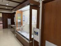 展示の様子