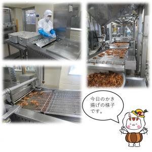 6月19日(木曜日)のお仕事