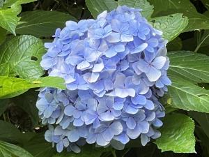 塩ヶ森2