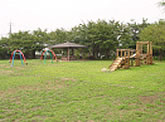 重信川みんなの広場写真 重信川みんなの広場写真