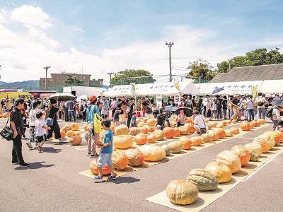 R7.9.6どてかぼちゃ2