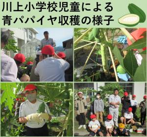 10月30日(木曜日)の給食イベント