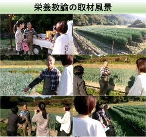 11月7日(金曜日)に取材に行きました