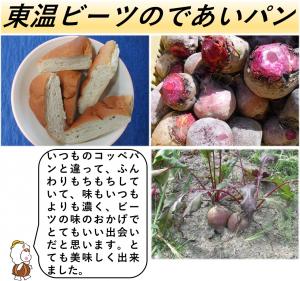 東温ビーツの出会いパン