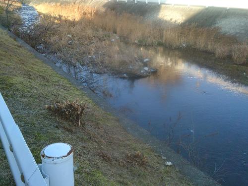 河川ごみ