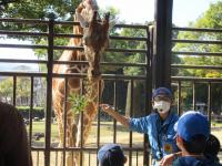 デコ活inとべ動物園