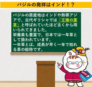 バジルの発祥地