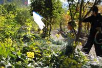 とことこクラブ2