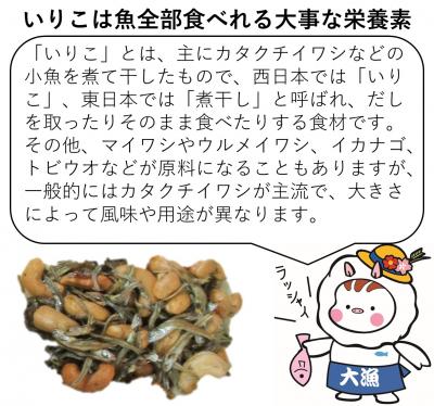 いりこの栄養素