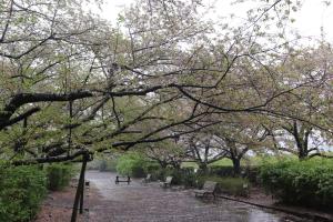 森の交流センター1