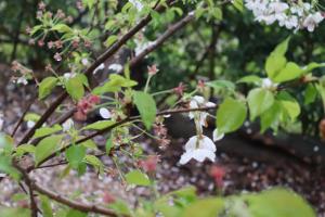 森の交流センター2