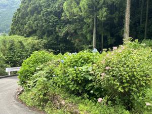 白猪の滝