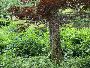 塩ヶ森ふるさと公園2
