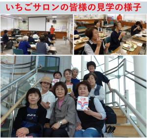 いちごサロン見学の様子