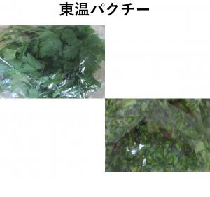 東温パクチー