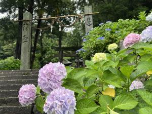 神社