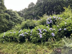 塩ヶ森
