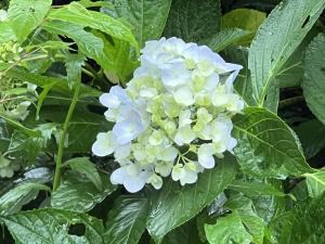 塩ヶ森2