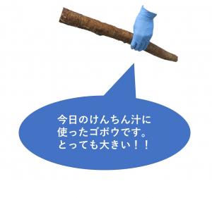 巨大ゴボウ