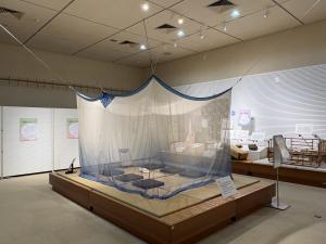 展示の様子