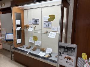 展示の様子