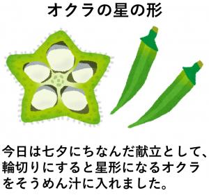 オクラの形