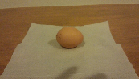 Ｍサイズの卵