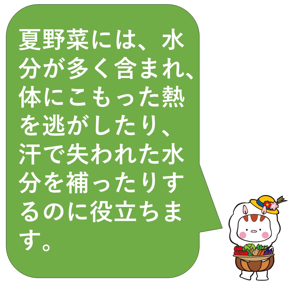 夏野菜