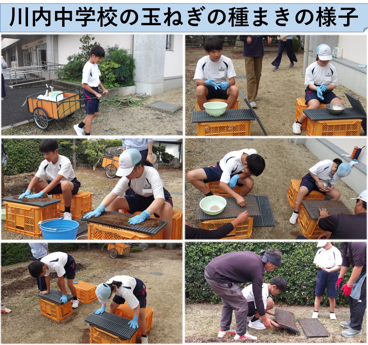 川中種まきの様子