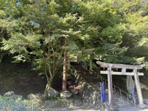五柱神社紅葉情報