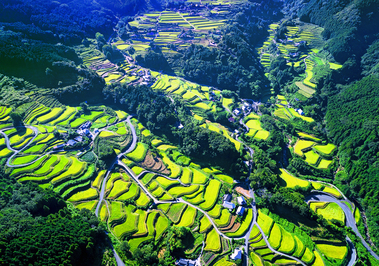 棚田遠景