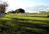 緑地公園写真