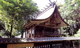 三島神社本殿の写真