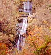 唐岬の滝の写真