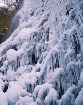 凍りつく厳冬の白猪の滝の写真