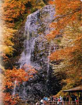 紅葉の時期の白猪の滝の写真