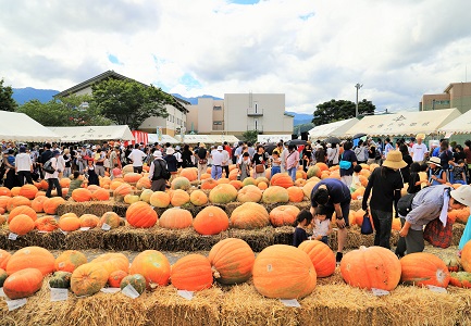 どてかぼちゃカーニバルの会場の写真