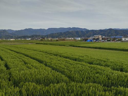 田園風景