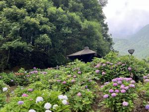 滝1